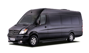 San Diego NON MEDICAL TRANSPORTATION Wheel chair inhome assistance adult transportation