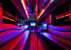 Party Bus Rental Service 45 Person San Diego tours
