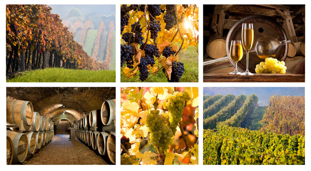 Discount Party Bus Pricing On Wine Tours San Diego