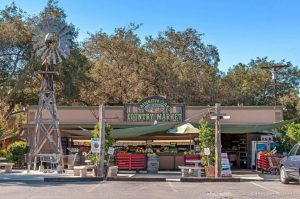 Top Things to do in Fallbrook, Limo, Limousine, Shuttle, Charter, Sedan, SUV, Brewery Tour, Wine Tasting, Weddings, Downtown, Clubs, Nightlife, Bachelor Parties, Bachelorette Parties, Gaslamp Quarter